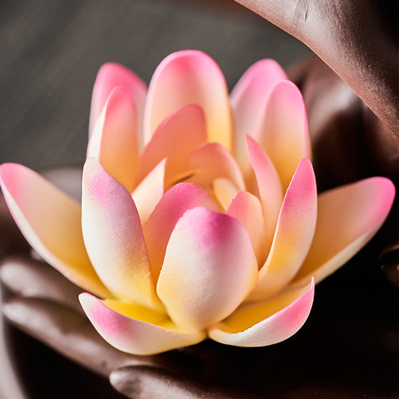 Close-up of a pink and yellow succulent plant