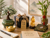 Good Luck Gift for a New Business Owner: A Feng Shui Guide