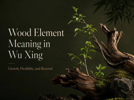 Wood Element Meaning in Wu Xing: Growth, Flexibility, and Renewal