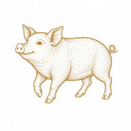 Pig