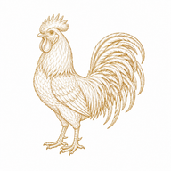 Rooster