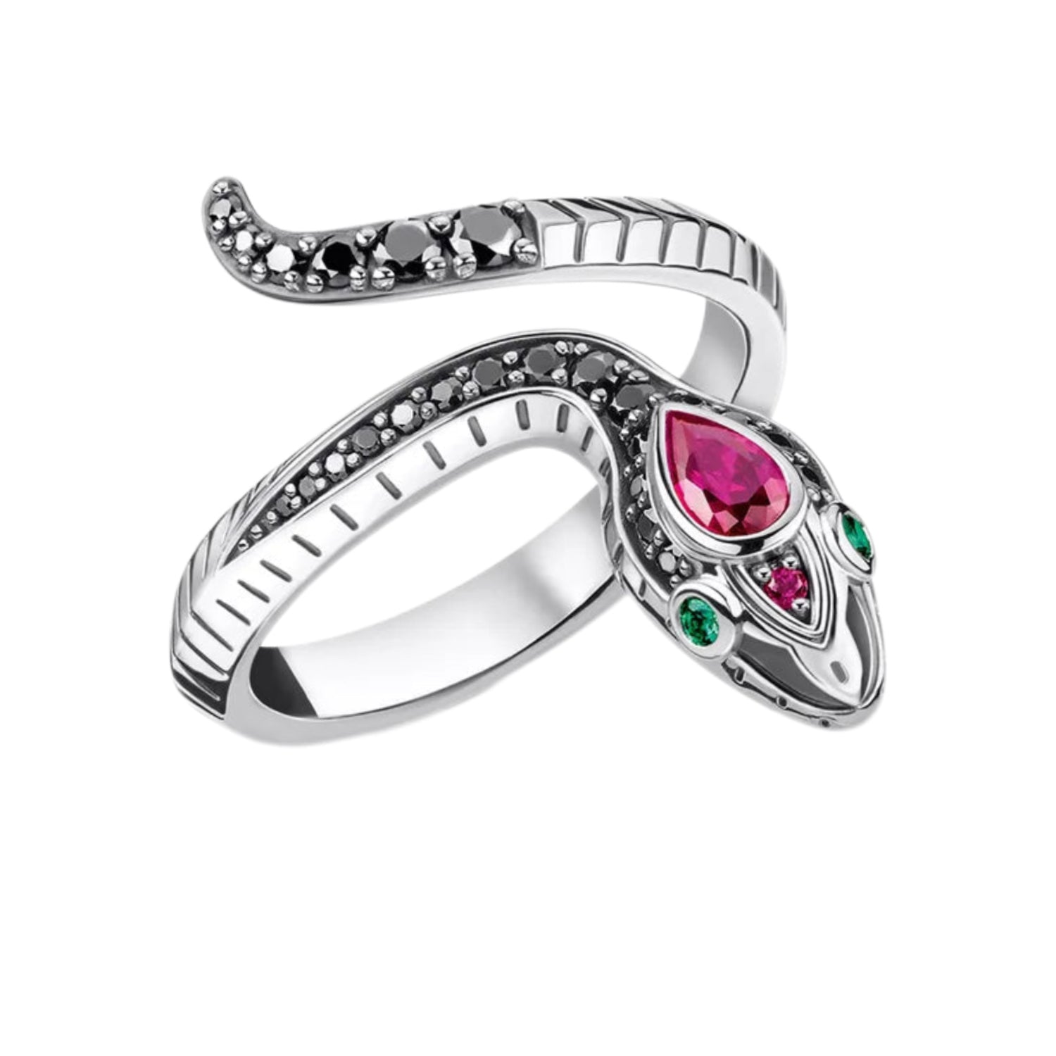 Prosperity Keeper Serpent Silver Ring