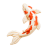 Koi Fish